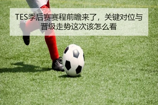 img_1781208635194_119_1_447.jpg